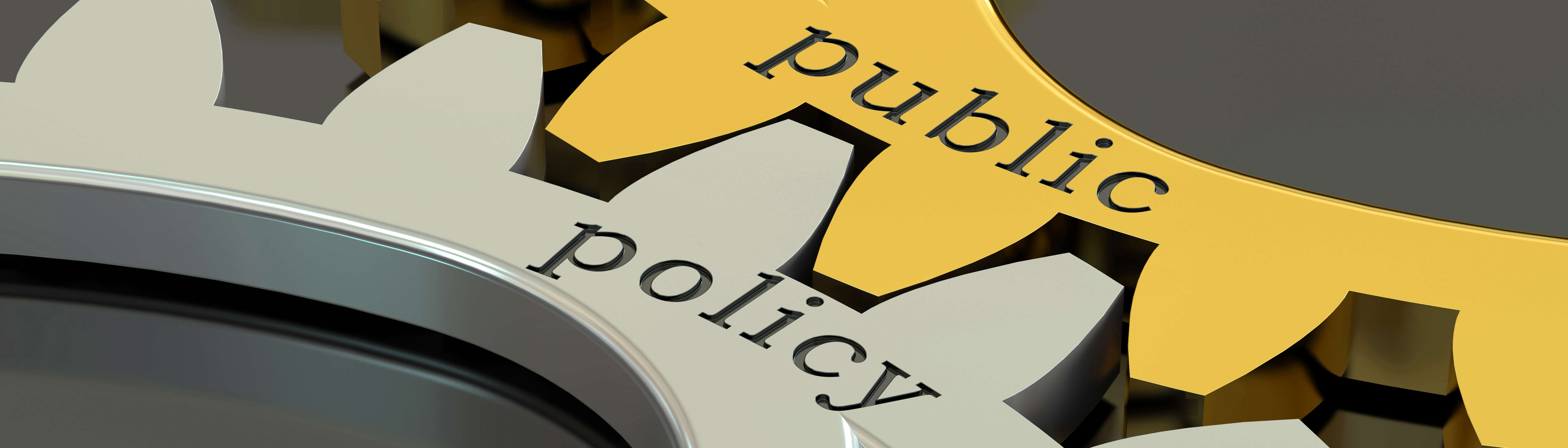 Public Policy Principles - Minnesota Organization of Leaders in Nursing